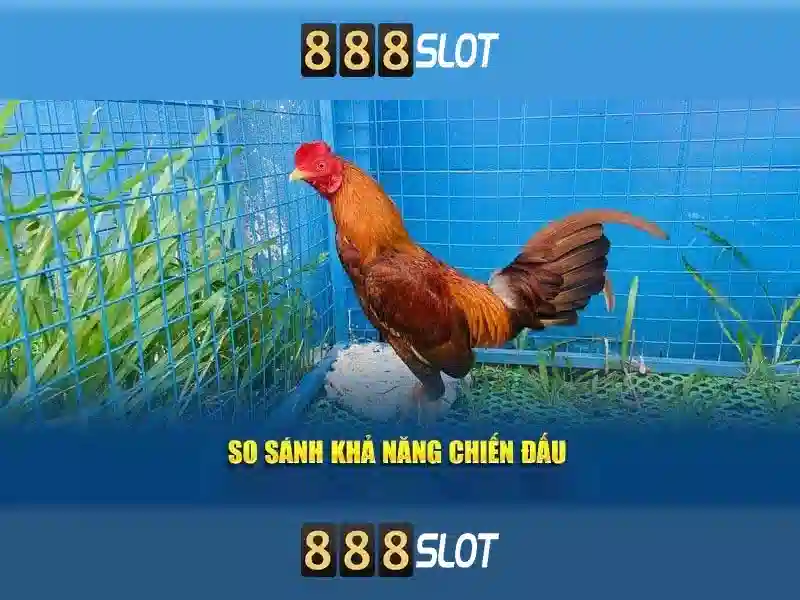 Các trò chơi phổ biến