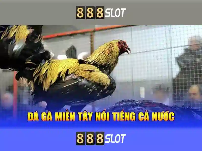 888slot - Sòng bạc trực tuyến phổ biến