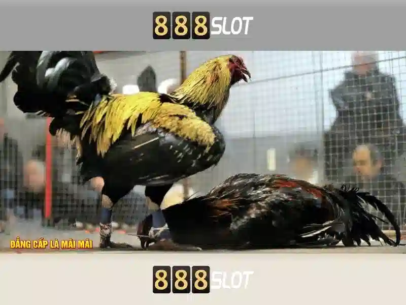 888slot: Trò chơi slot trực tuyến uy tín tại Việt Nam