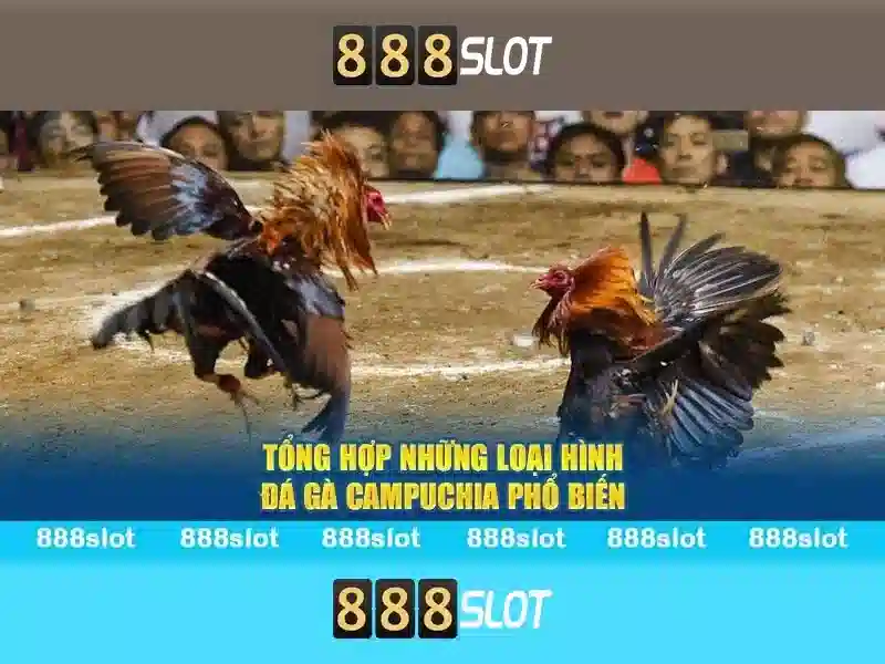 888slot - Đánh giá tổng quan về sòng slot trực tuyến