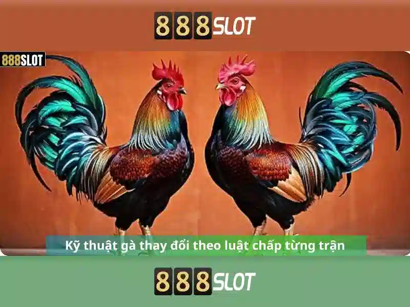 Khuyến mãi và thanh toán