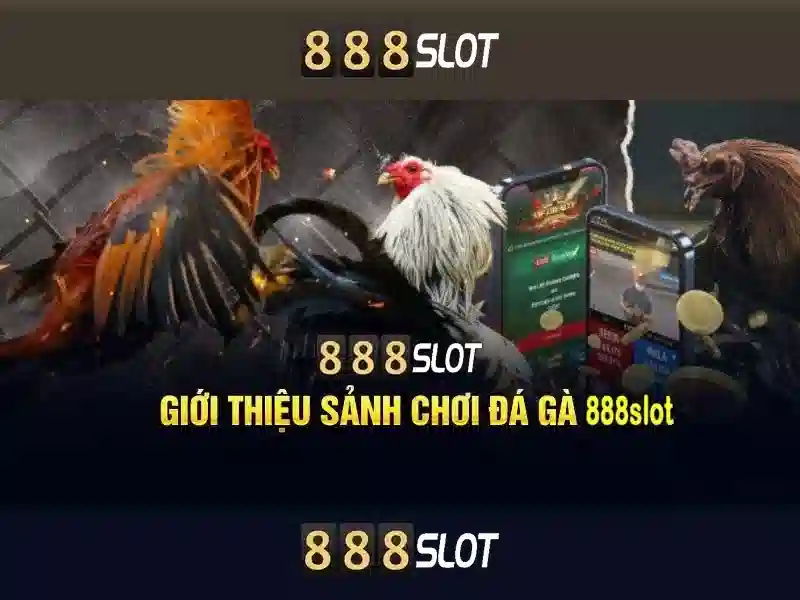Cách chơi và trải nghiệm người dùng