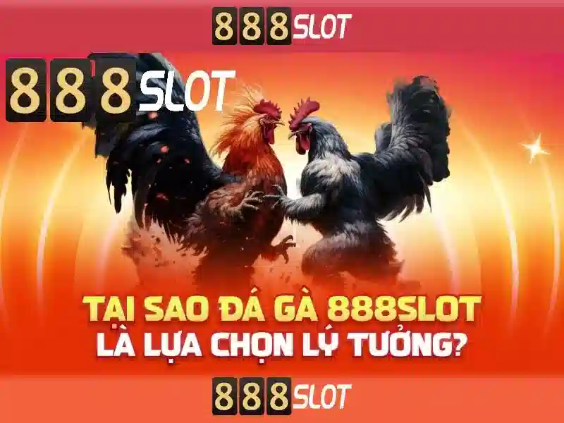 Độ tin cậy và giấy phép