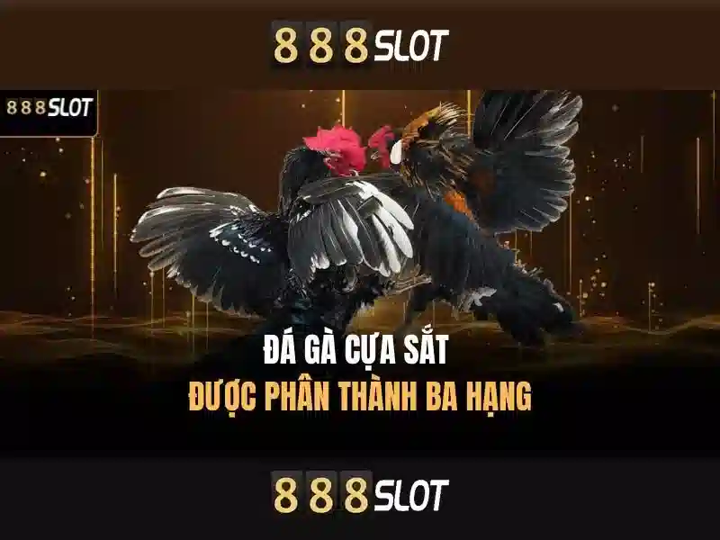 An toàn và công bằng