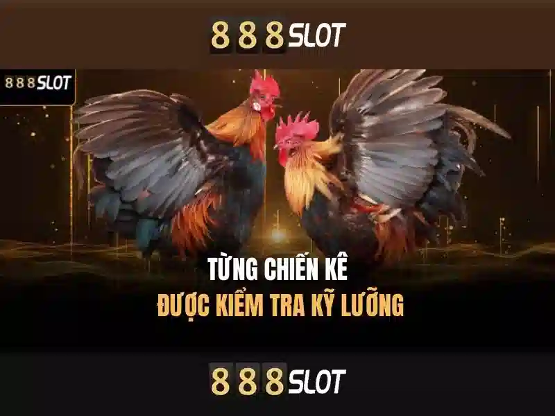 888slot_bonus_terms