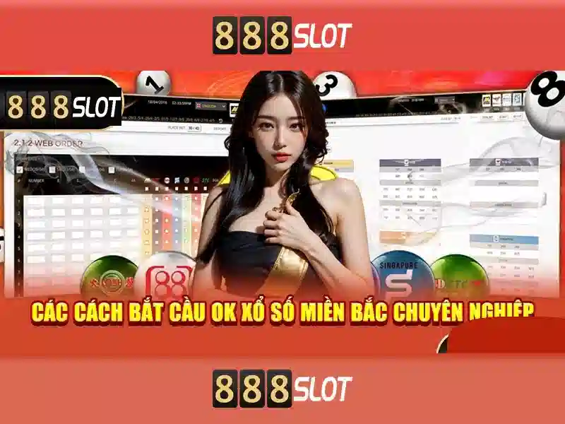 Khuyến mãi, thanh toán và an toàn