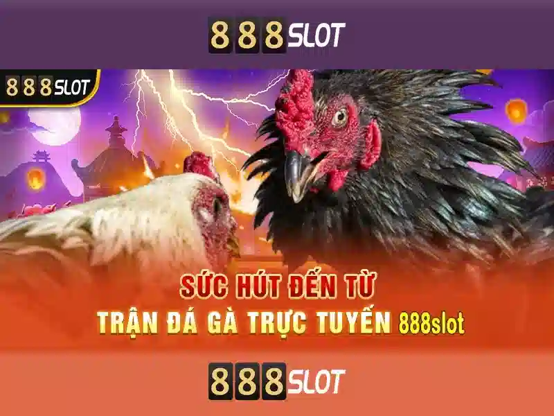 Trải nghiệm người chơi