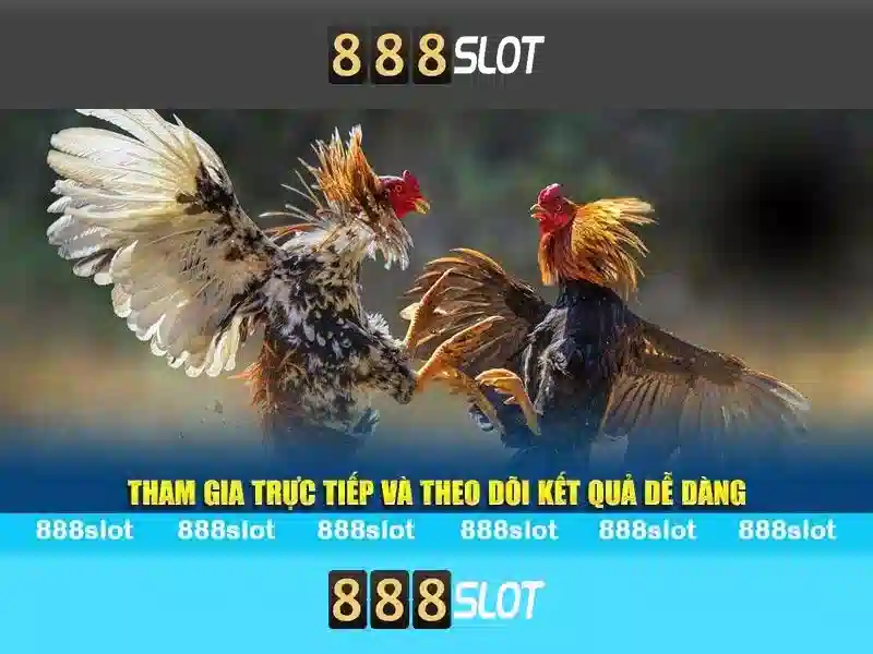 888slot - Nền tảng casino trực tuyến tin cậy