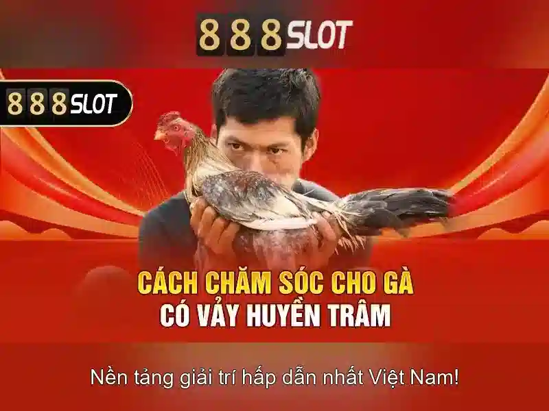 Kết luận và lời khuyên