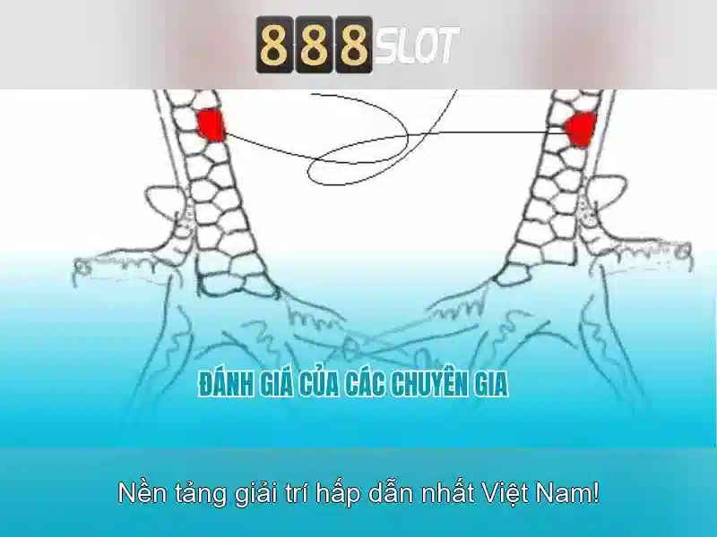 Khuyến mãi và cách nhận thưởng