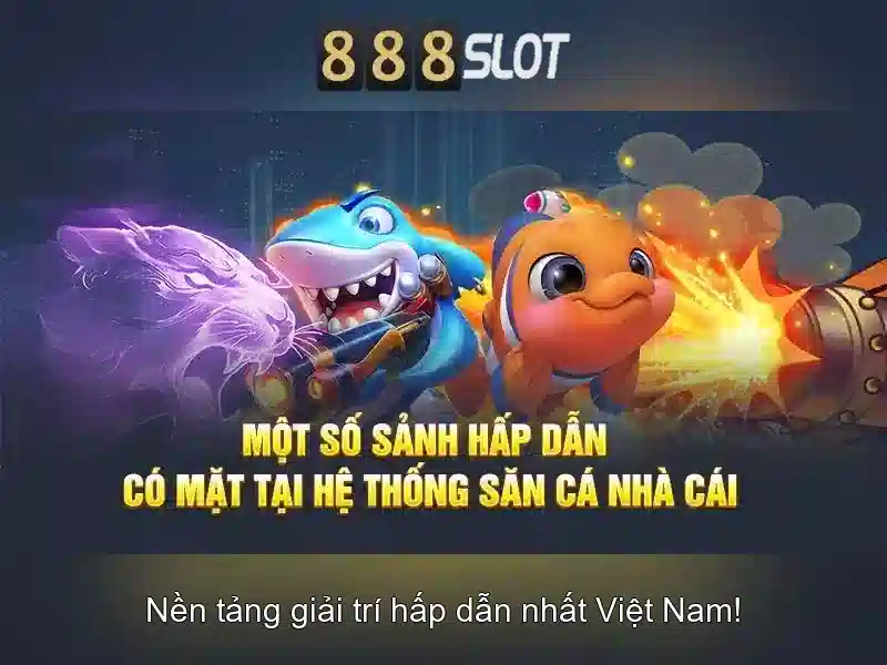 Kết luận