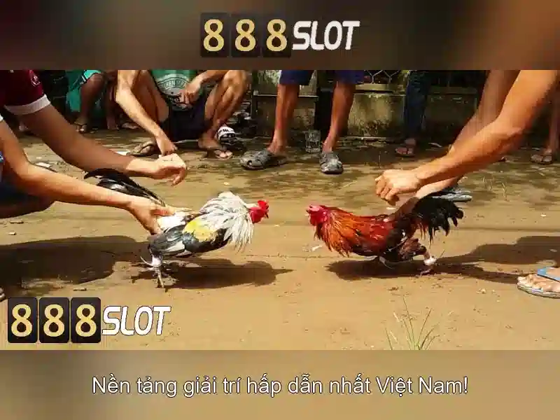 Danh mục trò chơi và slot phổ biến