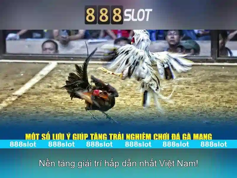Trải nghiệm di động và hỗ trợ