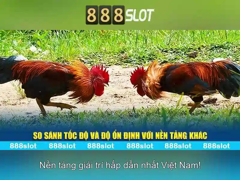 888slot - Nền tảng slot trực tuyến phổ biến