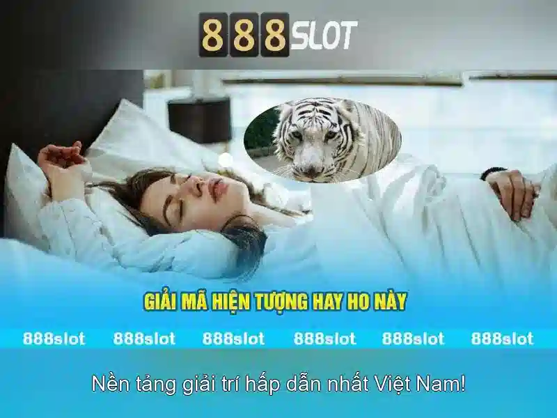An toàn và thanh toán