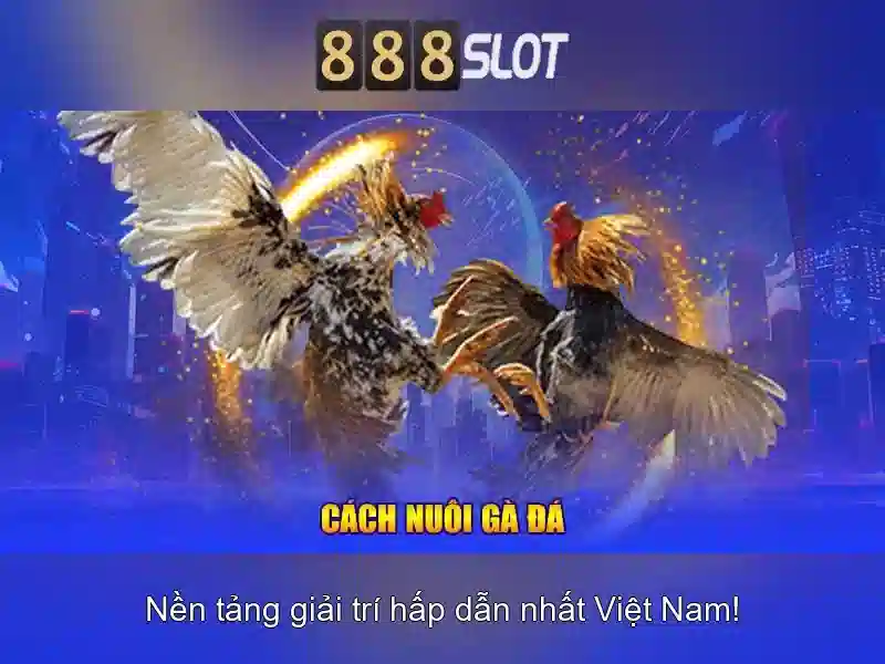An toàn và bảo mật cho người chơi